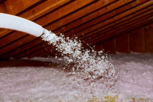 Best Eco-Friendly Insulation in Claypool, AZ